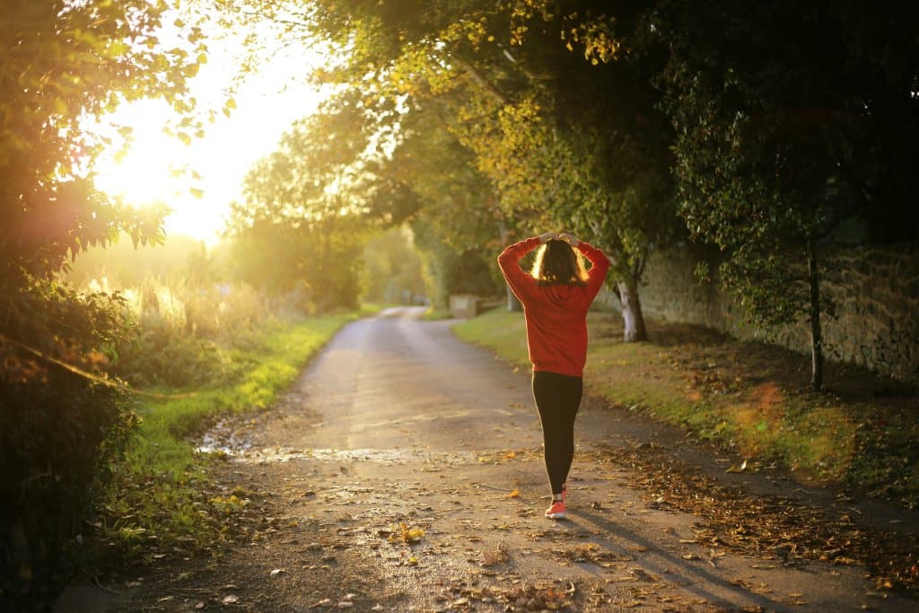A runner on a tree-lined road in early morning light
